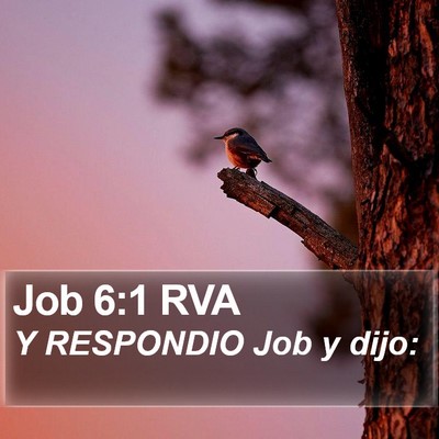 Job 6:1 RVA Bible Verse Image