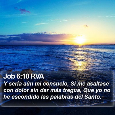 Job 6:10 RVA Bible Verse Image