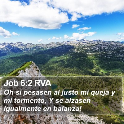 Job 6:2 RVA Bible Verse Image