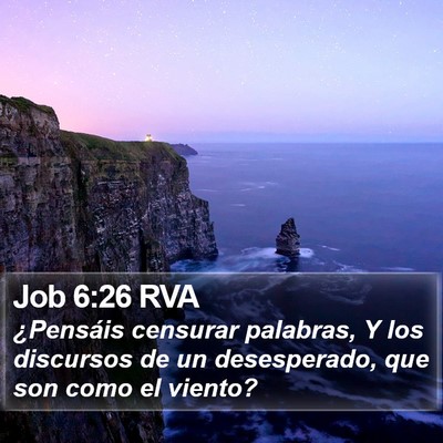 Job 6:26 RVA Bible Verse Image