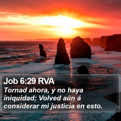 Job 6:29 RVA Bible Verse Image