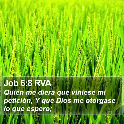 Job 6:8 RVA Bible Verse Image