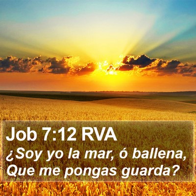 Job 7:12 RVA Bible Verse Image