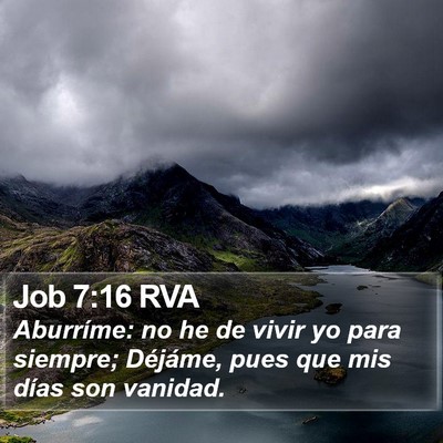 Job 7:16 RVA Bible Verse Image