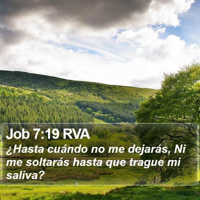 Job 7:19 RVA Bible Verse Image