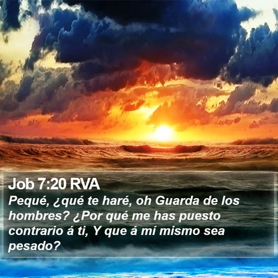 Job 7:20 RVA Bible Verse Image