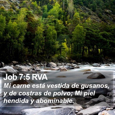 Job 7:5 RVA Bible Verse Image