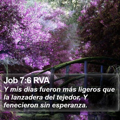 Job 7:6 RVA Bible Verse Image