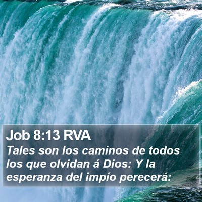 Job 8:13 RVA Bible Verse Image