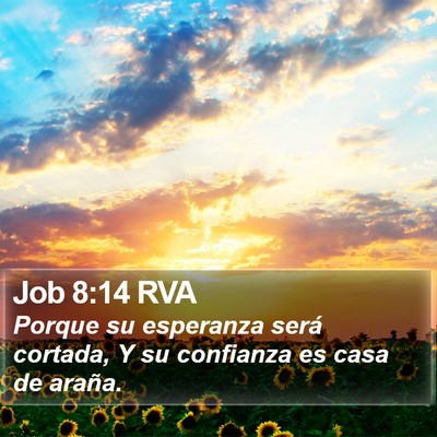 Job 8:14 RVA Bible Verse Image