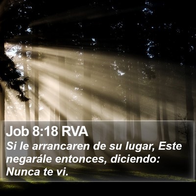 Job 8:18 RVA Bible Verse Image