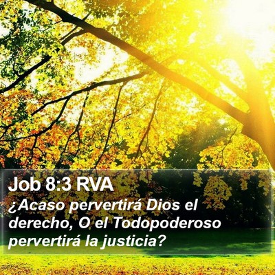 Job 8:3 RVA Bible Verse Image