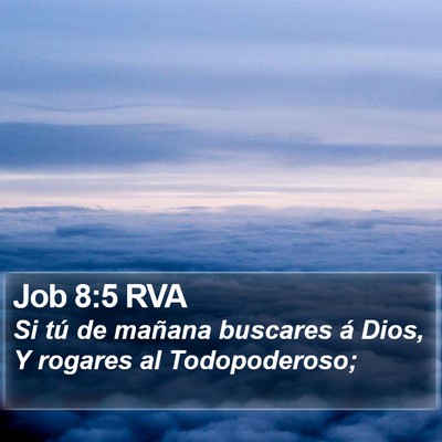 Job 8:5 RVA Bible Verse Image