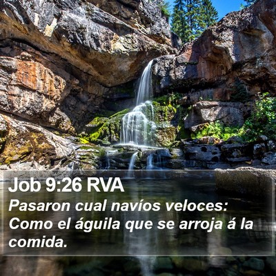 Job 9:26 RVA Bible Verse Image