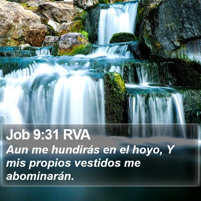 Job 9:31 RVA Bible Verse Image