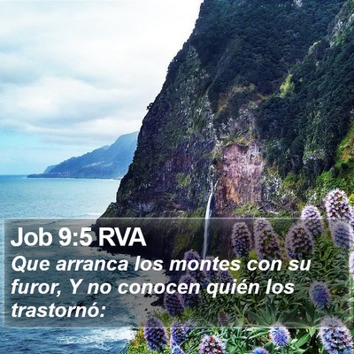 Job 9:5 RVA Bible Verse Image