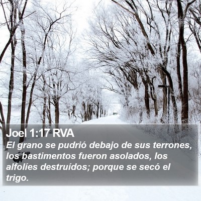 Joel 1:17 RVA Bible Verse Image