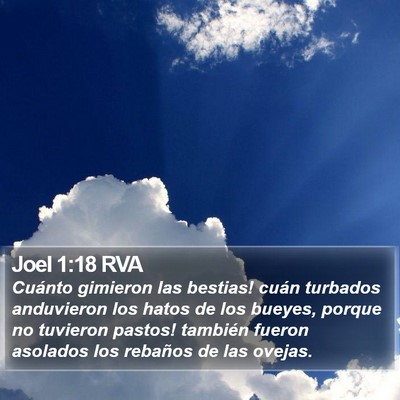 Joel 1:18 RVA Bible Verse Image