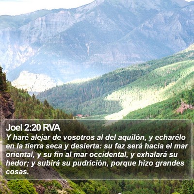 Joel 2:20 RVA Bible Verse Image