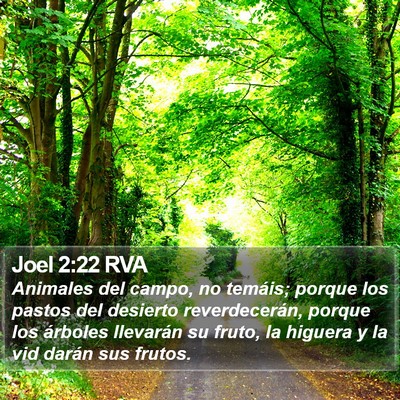Joel 2:22 RVA Bible Verse Image