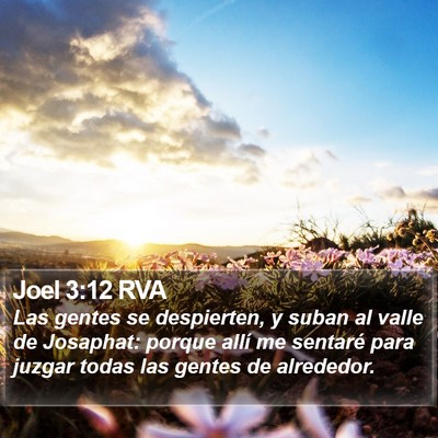 Joel 3:12 RVA Bible Verse Image