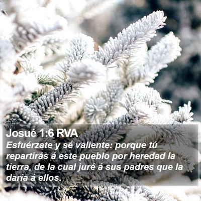Josué 1:6 RVA Bible Verse Image