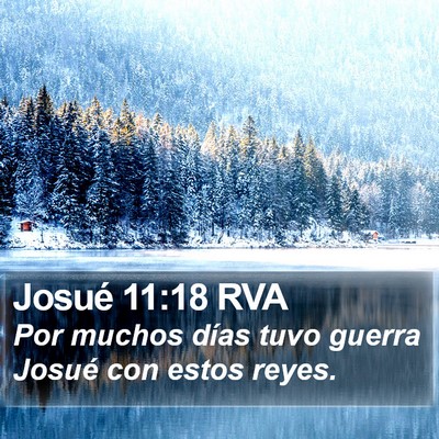 Josué 11:18 RVA Bible Verse Image