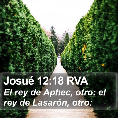 Josué 12:18 RVA Bible Verse Image