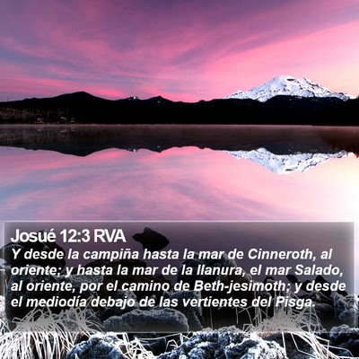 Josué 12:3 RVA Bible Verse Image