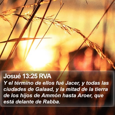 Josué 13:25 RVA Bible Verse Image