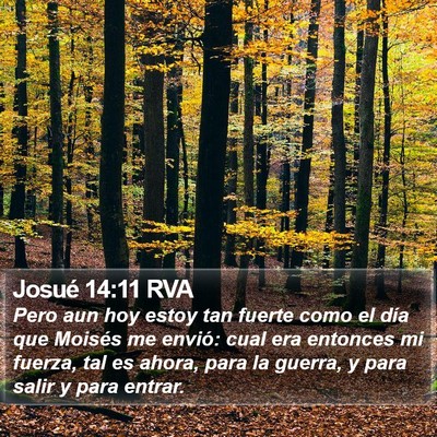 Josué 14:11 RVA Bible Verse Image