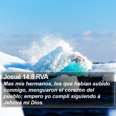 Josué 14:8 RVA Bible Verse Image