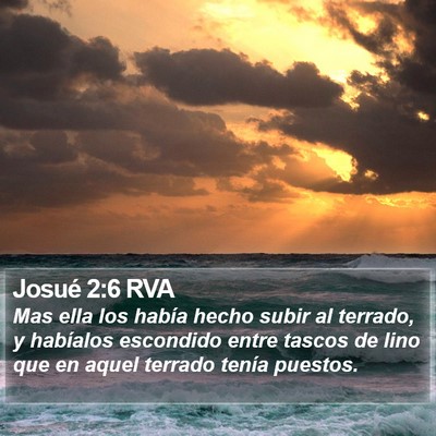 Josué 2:6 RVA Bible Verse Image