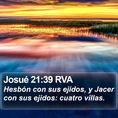 Josué 21:39 RVA Bible Verse Image