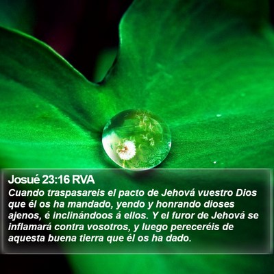 Josué 23:16 RVA Bible Verse Image