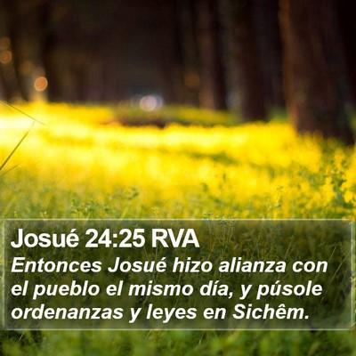 Josué 24:25 RVA Bible Verse Image