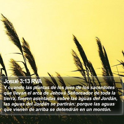 Josué 3:13 RVA Bible Verse Image