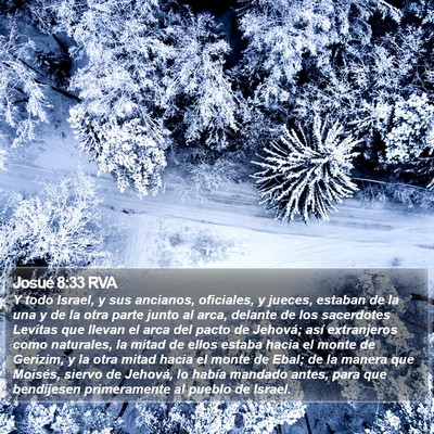Josué 8:33 RVA Bible Verse Image