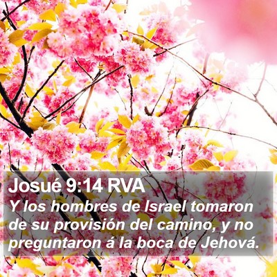 Josué 9:14 RVA Bible Verse Image