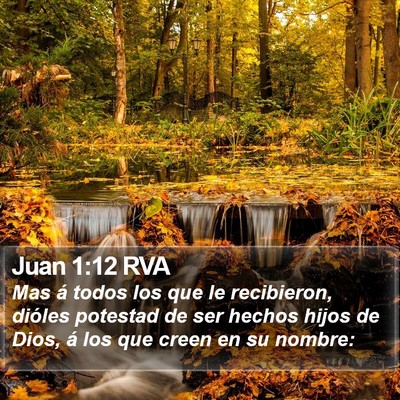 Juan 1:12 RVA Bible Verse Image