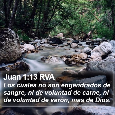 Juan 1:13 RVA Bible Verse Image