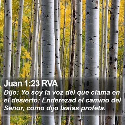 Juan 1:23 RVA Bible Verse Image