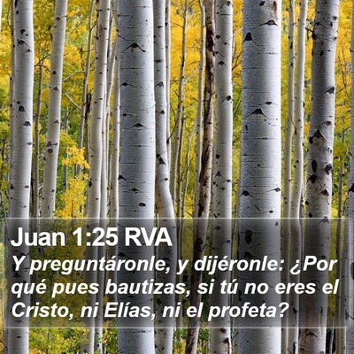 Juan 1:25 RVA Bible Verse Image