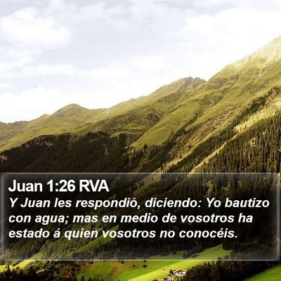 Juan 1:26 RVA Bible Verse Image