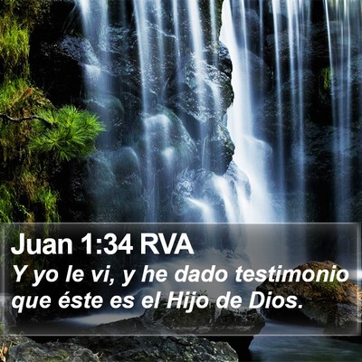 Juan 1:34 RVA Bible Verse Image