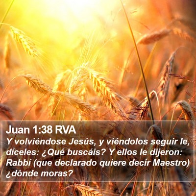 Juan 1:38 RVA Bible Verse Image