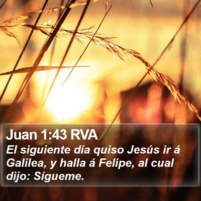 Juan 1:43 RVA Bible Verse Image