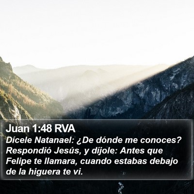 Juan 1:48 RVA Bible Verse Image