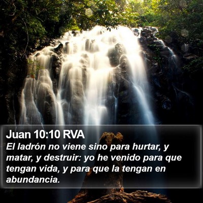 Juan 10:10 RVA Bible Verse Image