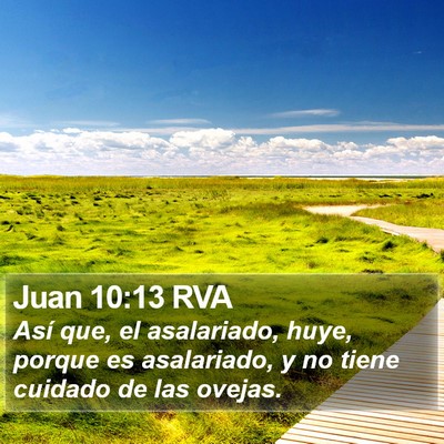 Juan 10:13 RVA Bible Verse Image